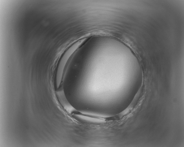X0000071790193200607150129