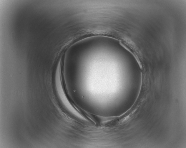 X0000071790201200607150129