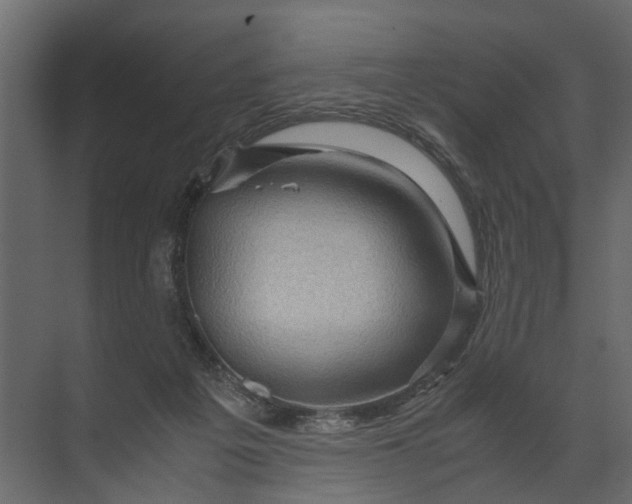 X0000071790217200607150129