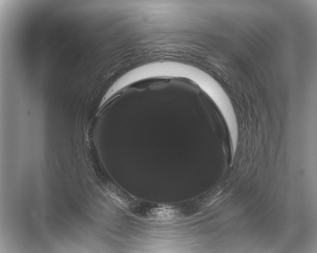 X0000071790219200607150129