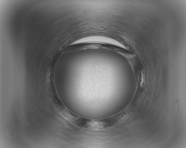 X0000071790221200607150129