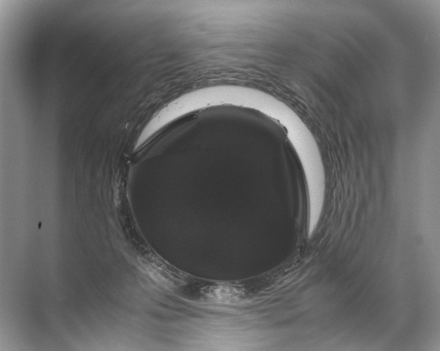 X0000071790223200607150129