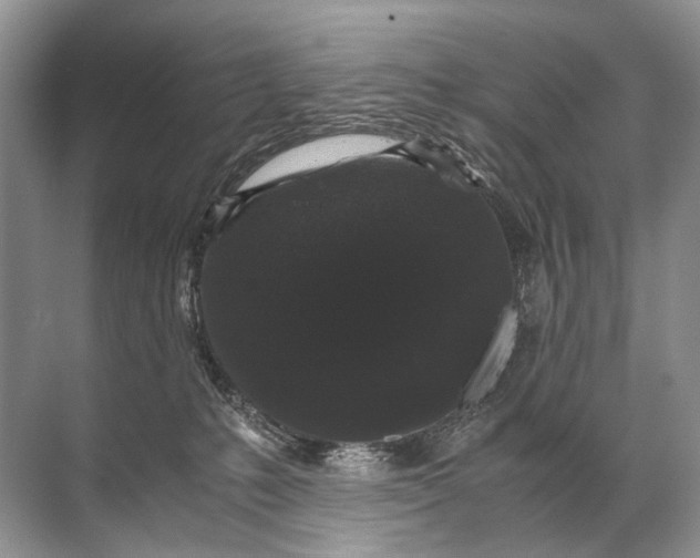 X0000071790231200607150129
