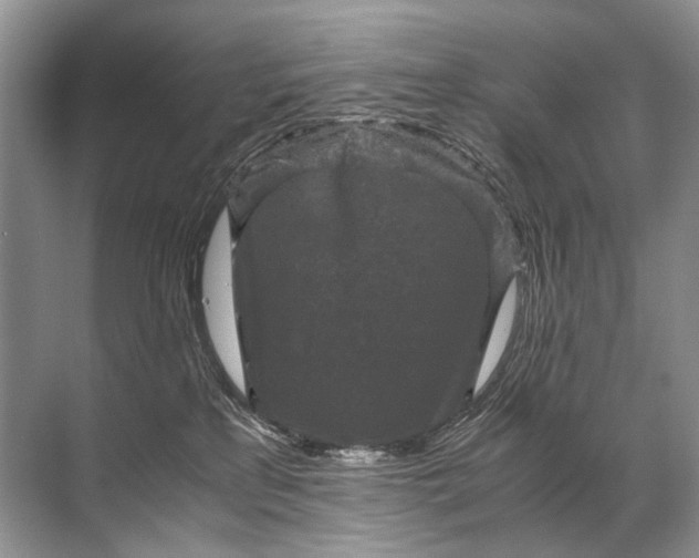 X0000071790233200607150129