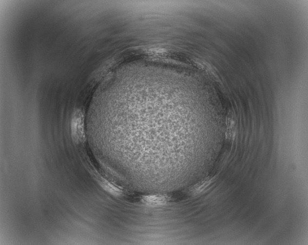 X0000071790238200607150129