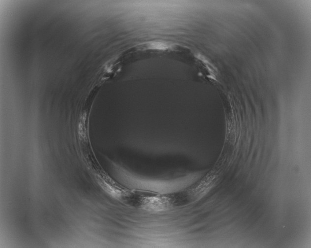 X0000071790239200607150129