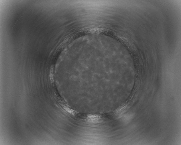 X0000071790240200607150129