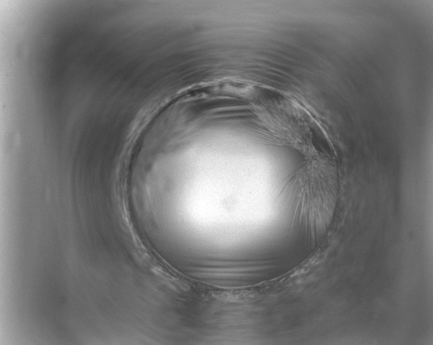 X0000071790241200607150128