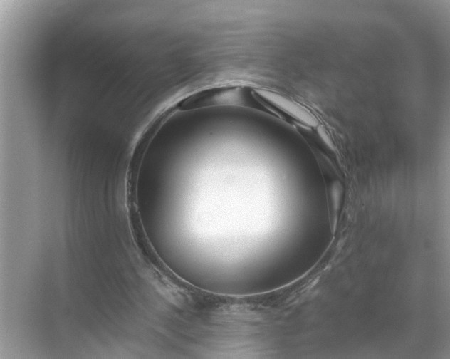 X0000071790244200607150128