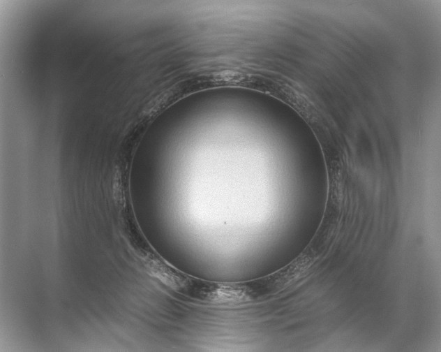 X0000071790270200607150128