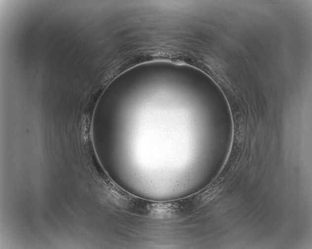 X0000071790273200607150128