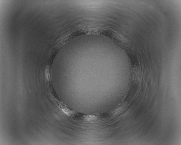 X0000071790287200607150129