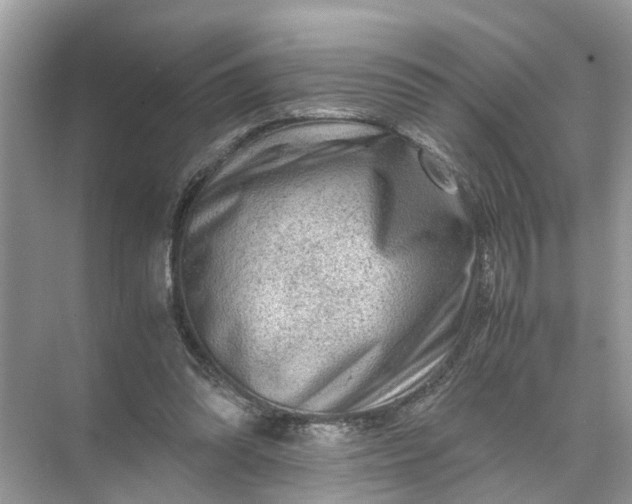 X0000071790302200607150128
