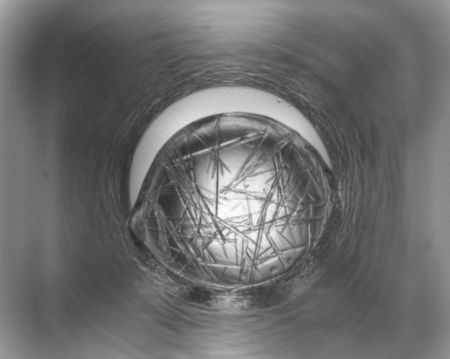 X0000071790319200607150127