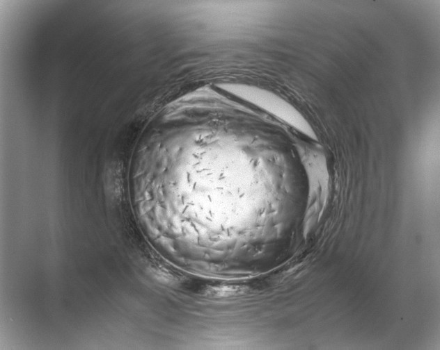 X0000071790323200607150127