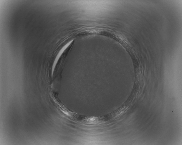 X0000071790325200607150127