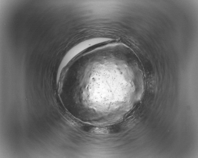X0000071790327200607150127