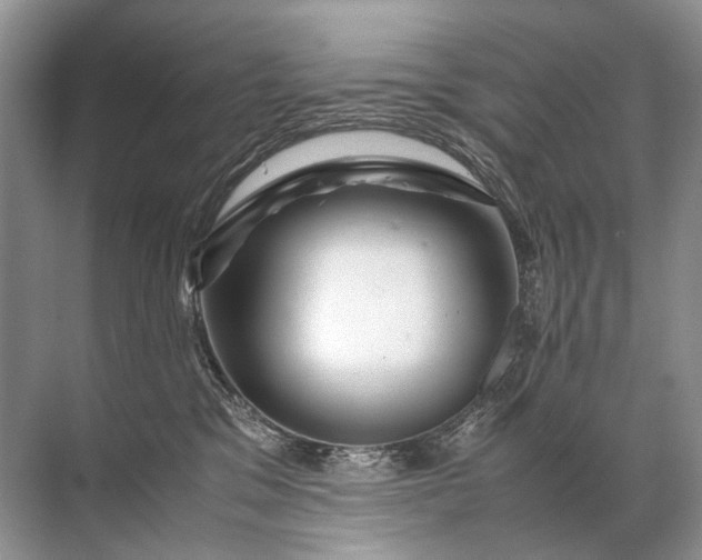 X0000071790329200607150127