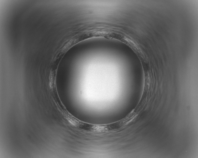 X0000071790333200607150127