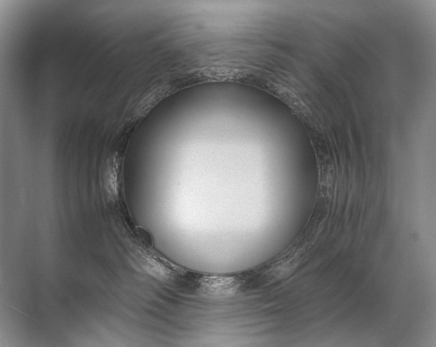 X0000071790334200607150127