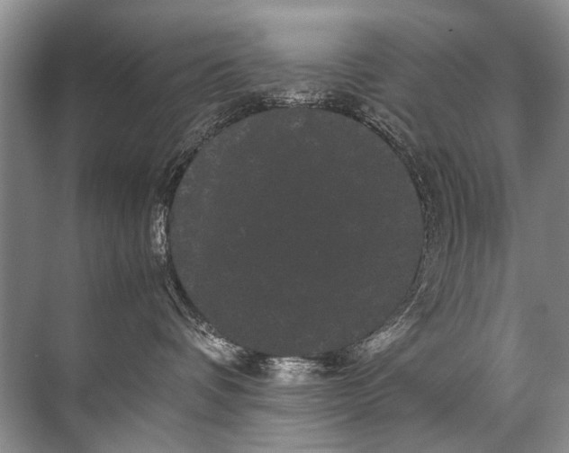 X0000071790336200607150127