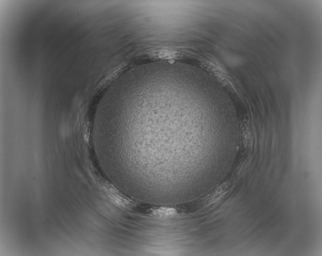 X0000071790374200607150127