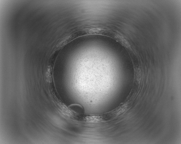 X0000071790378200607150127