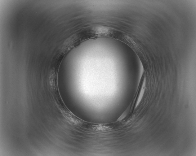 X0000071790379200607150127