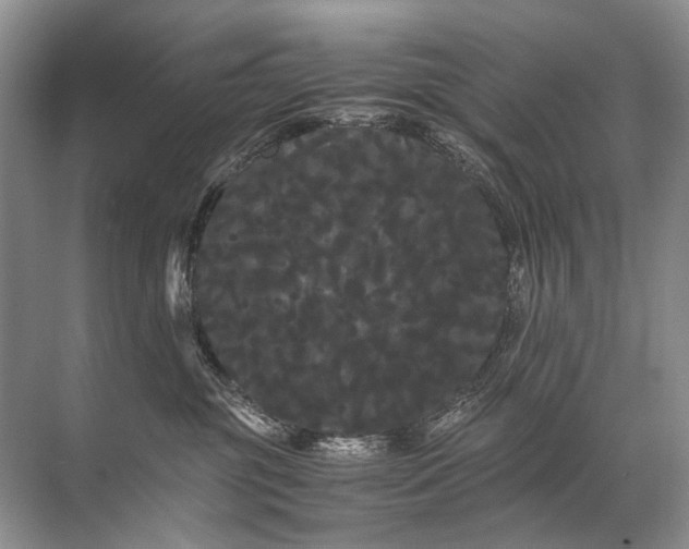 X0000071790381200607150127