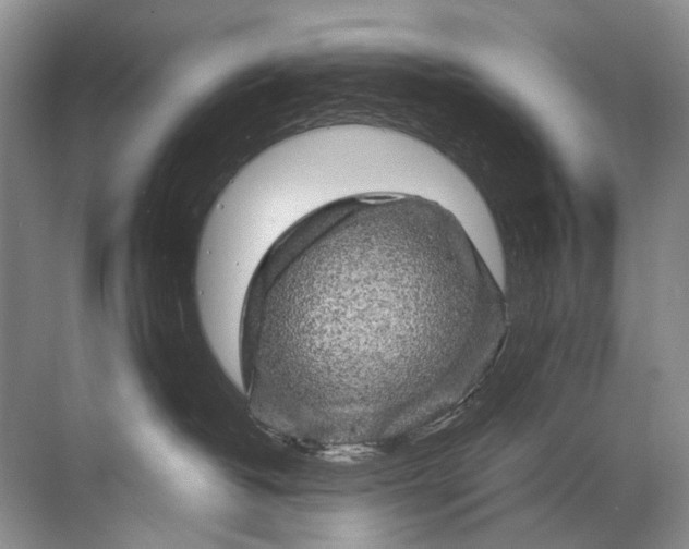 X0000071790382200607150127