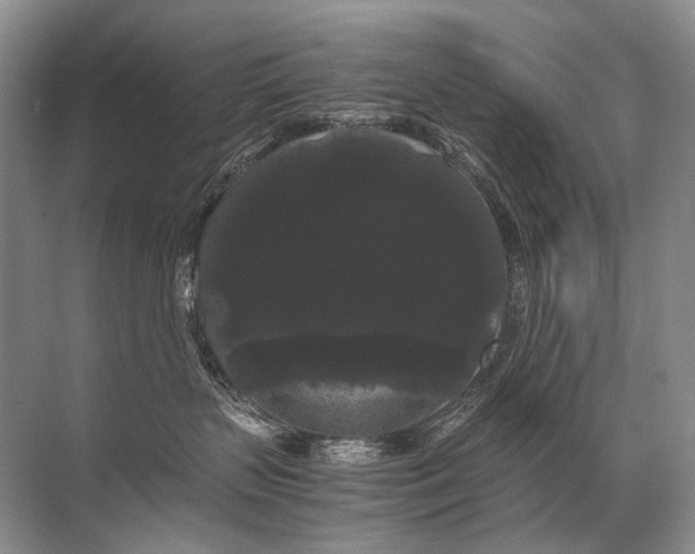 X0000071790383200607150127