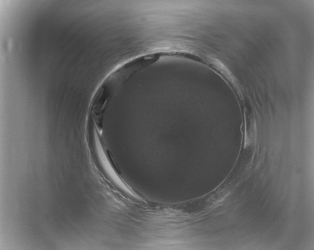 X0000071790387200607150126