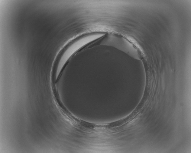 X0000071790391200607150126