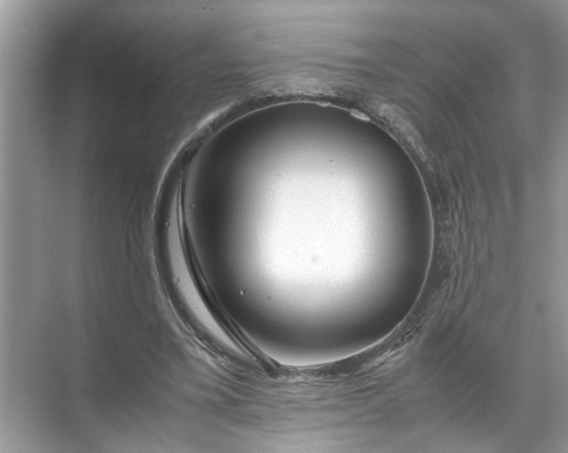 X0000071790395200607150126