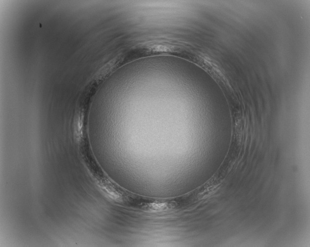 X0000071790406200607150126