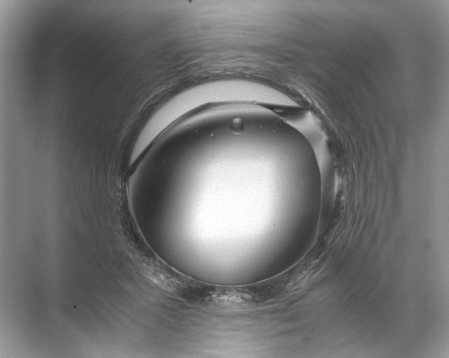 X0000071790407200607150126