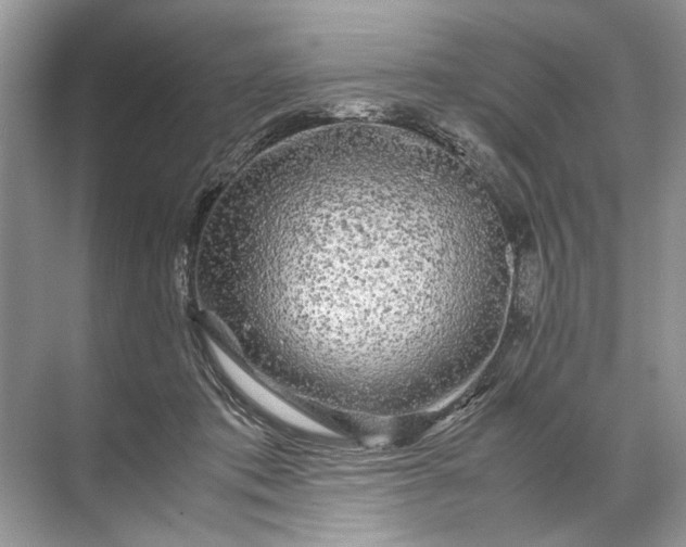X0000071790413200607150126