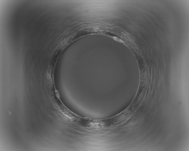 X0000071790415200607150126