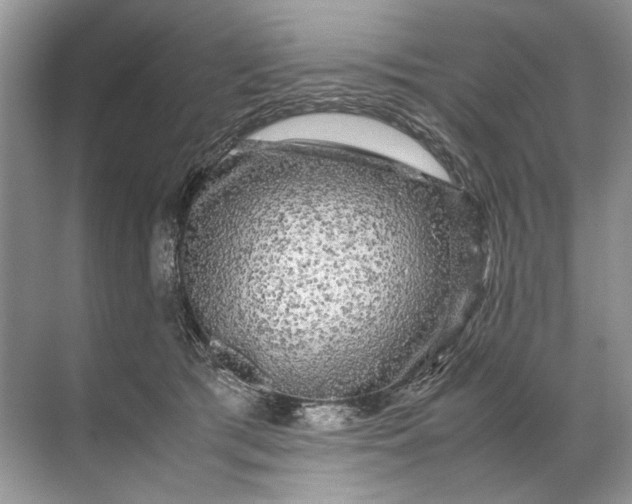 X0000071790417200607150126