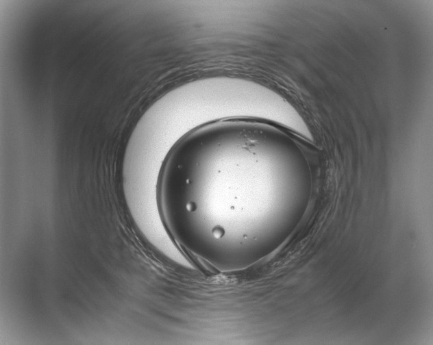 X0000071790421200607150126