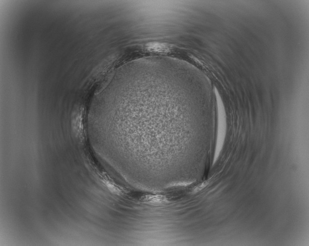 X0000071790424200607150126