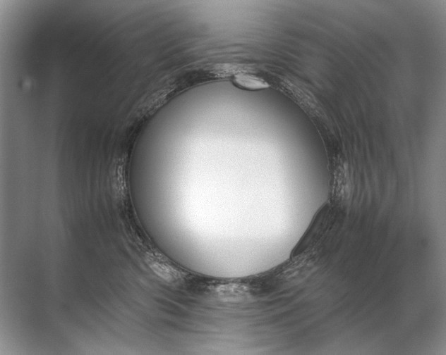 X0000071790426200607150126
