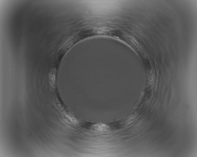 X0000071790427200607150126