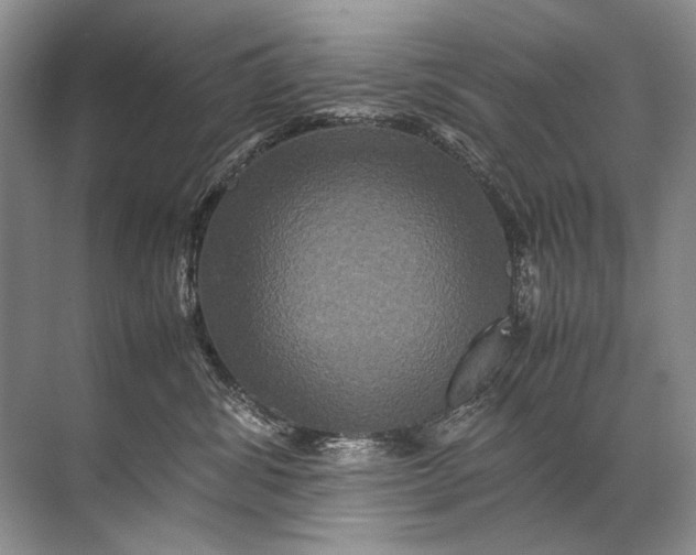 X0000071790428200607150126