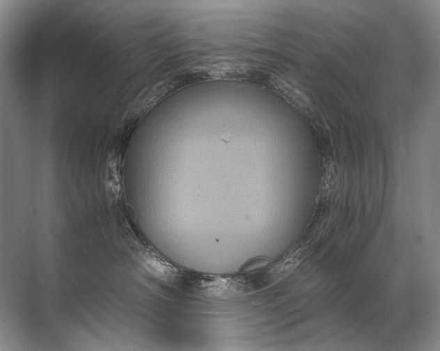 X0000071790430200607150126
