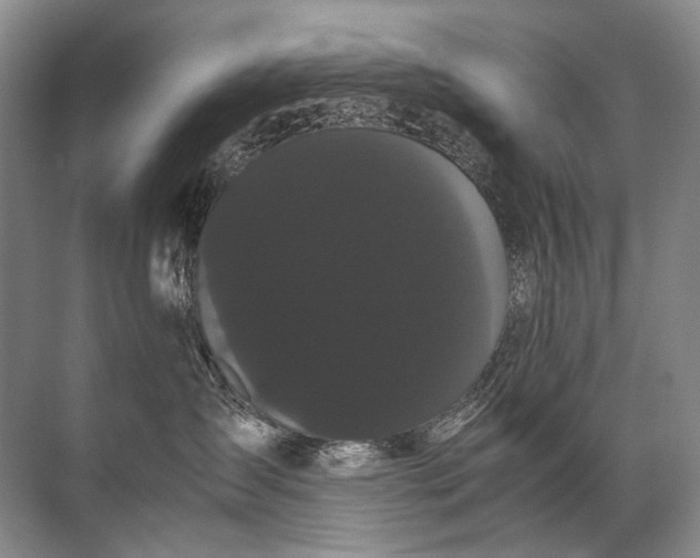 X0000071790431200607150126