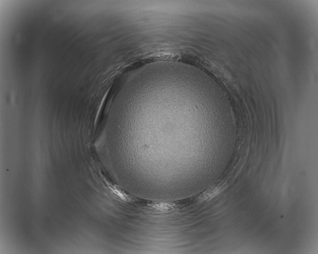 X0000071790432200607150125