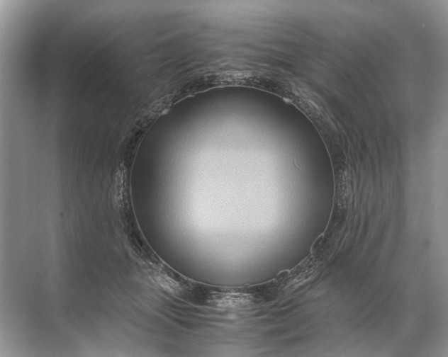 X0000071790463200607150125