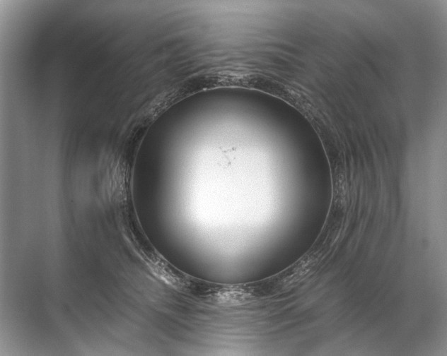 X0000071790468200607150125
