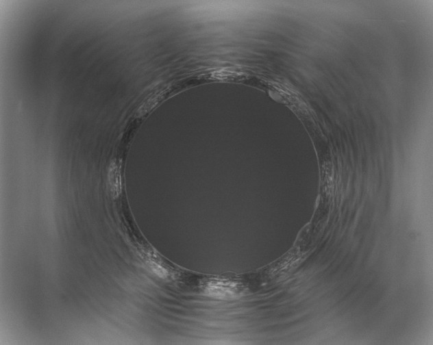 X0000071790471200607150125